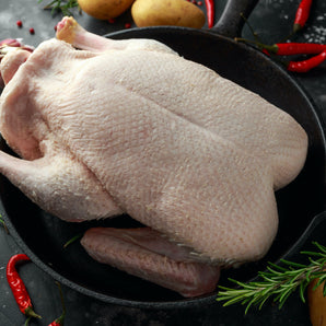 Whole or Half Duck